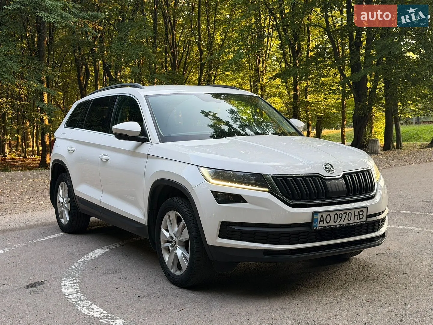 Skoda Kodiaq, 2017