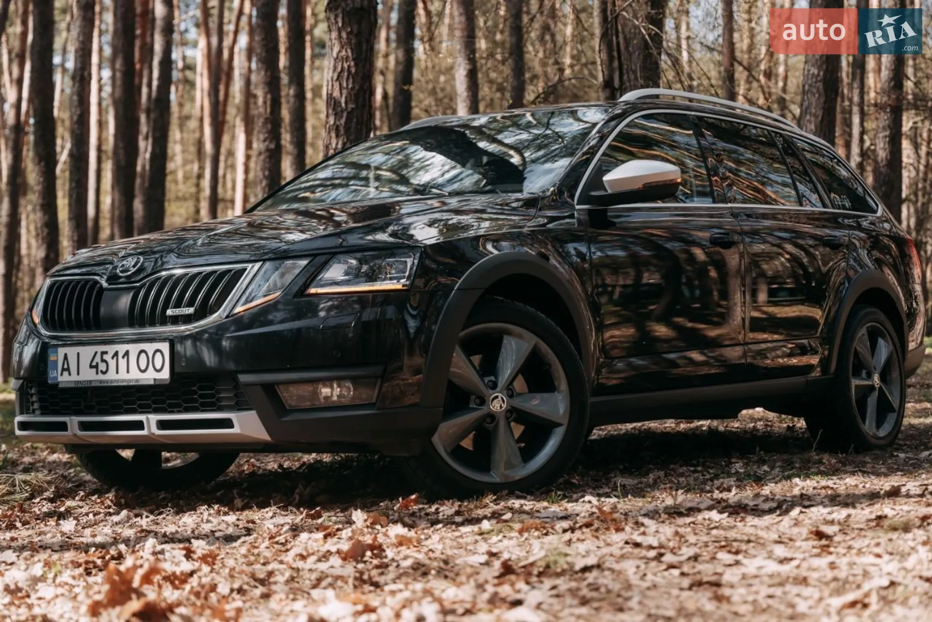 Skoda Octavia Scout, 2019