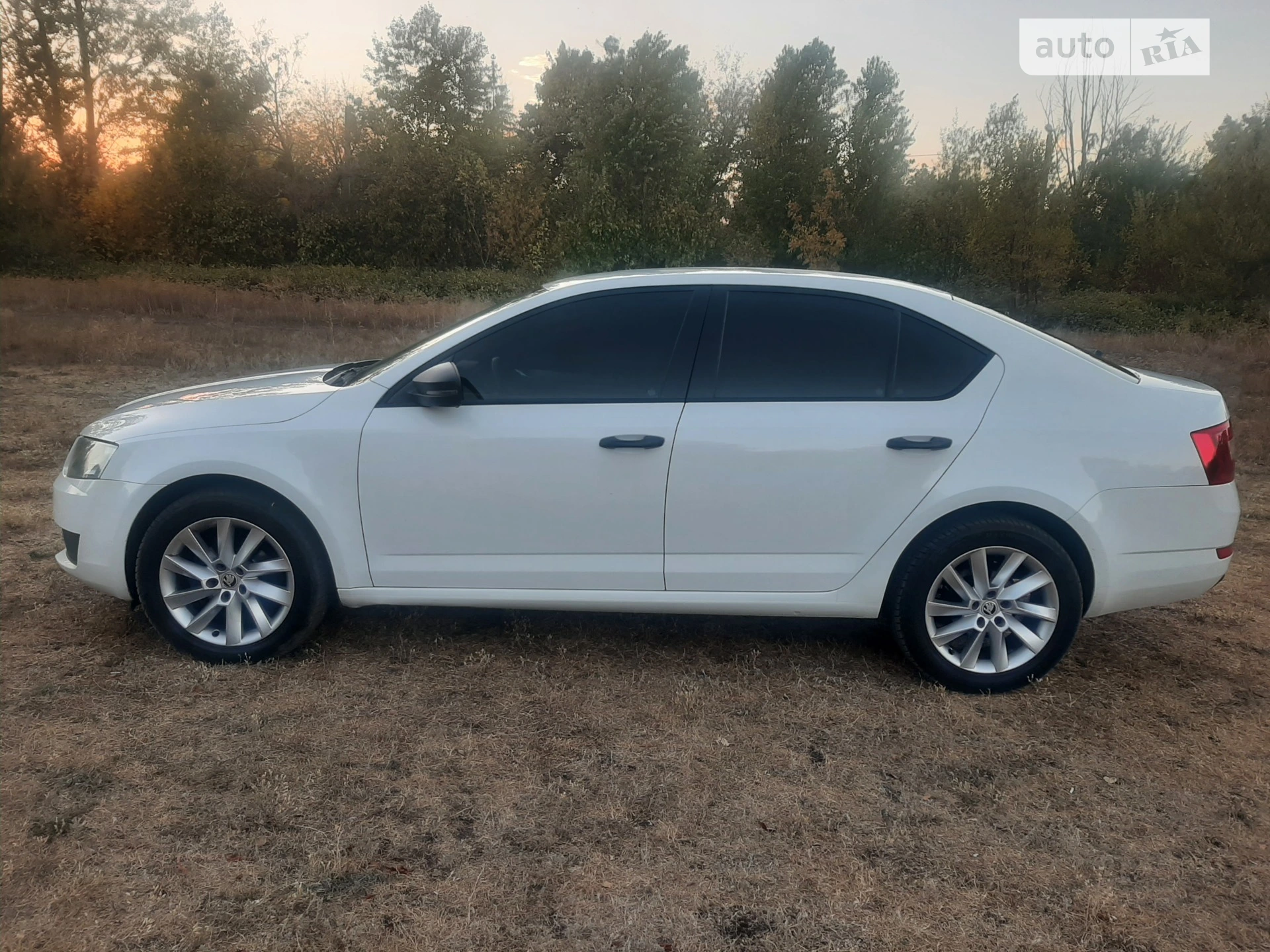 Skoda Octavia, 2015