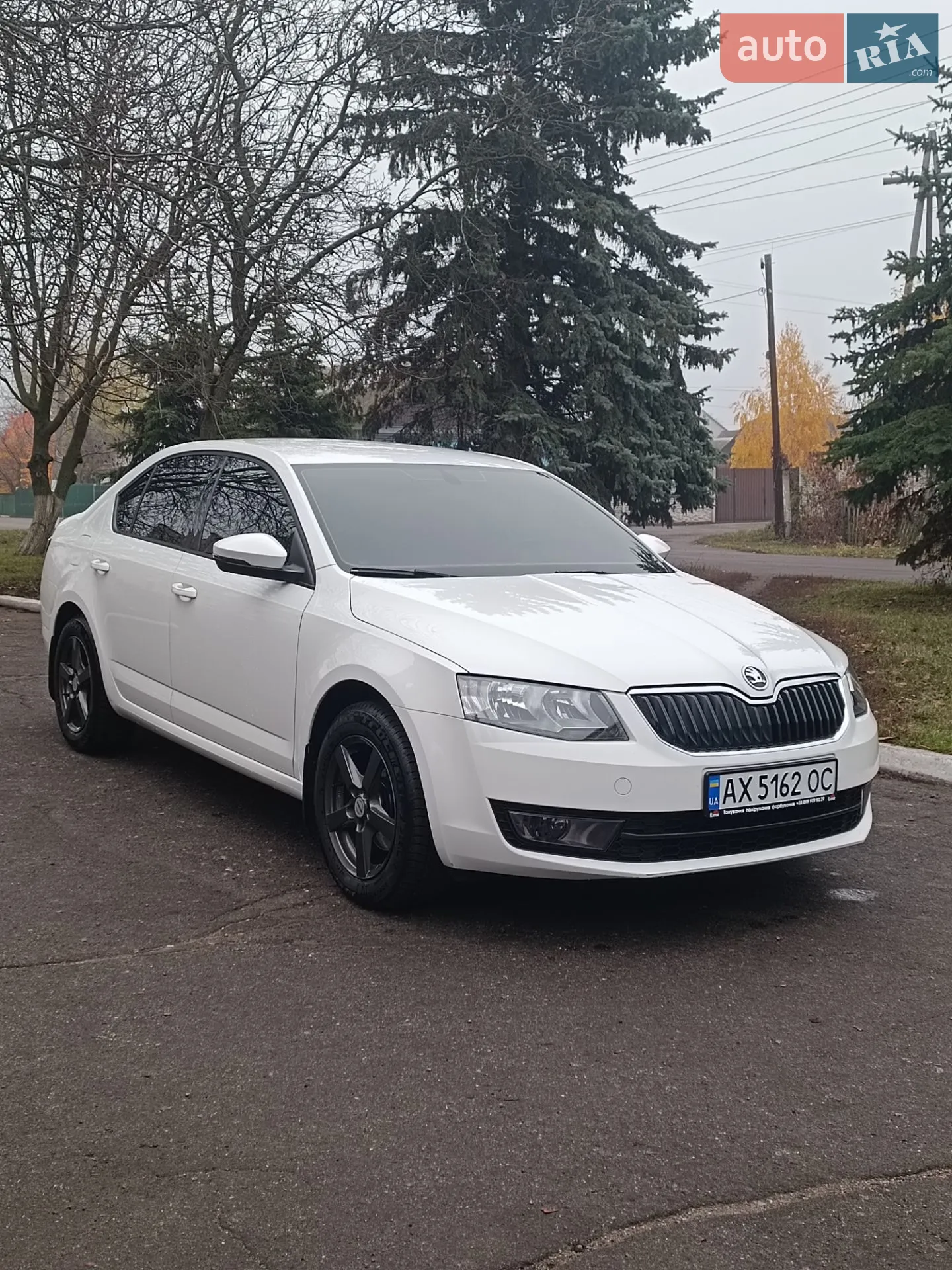 Skoda Octavia, 2013