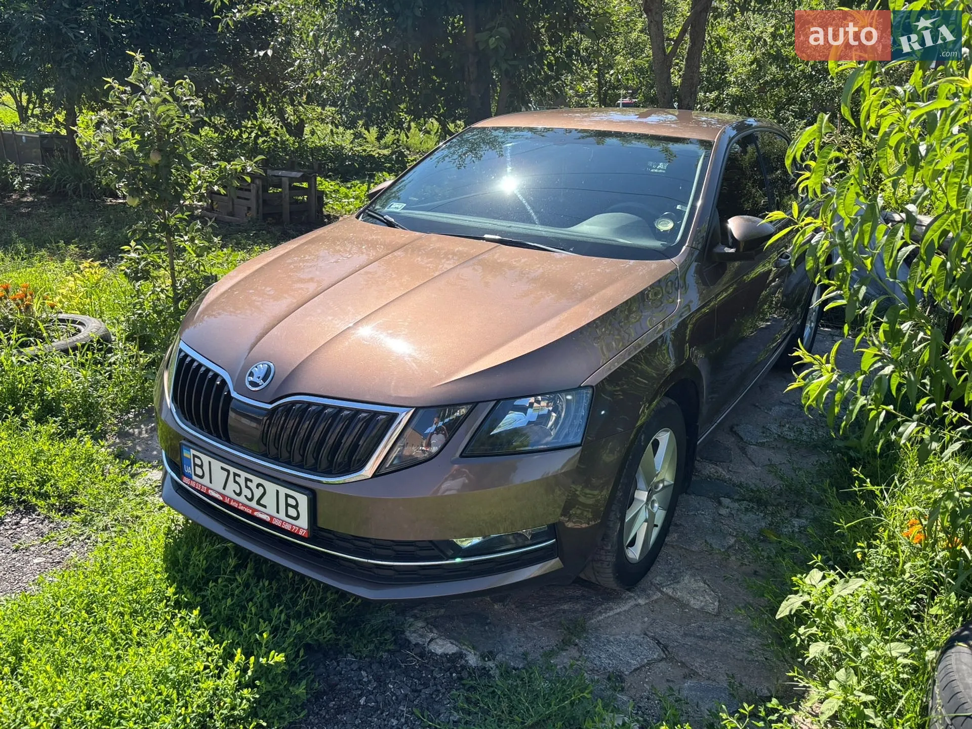 Skoda Octavia, 2019
