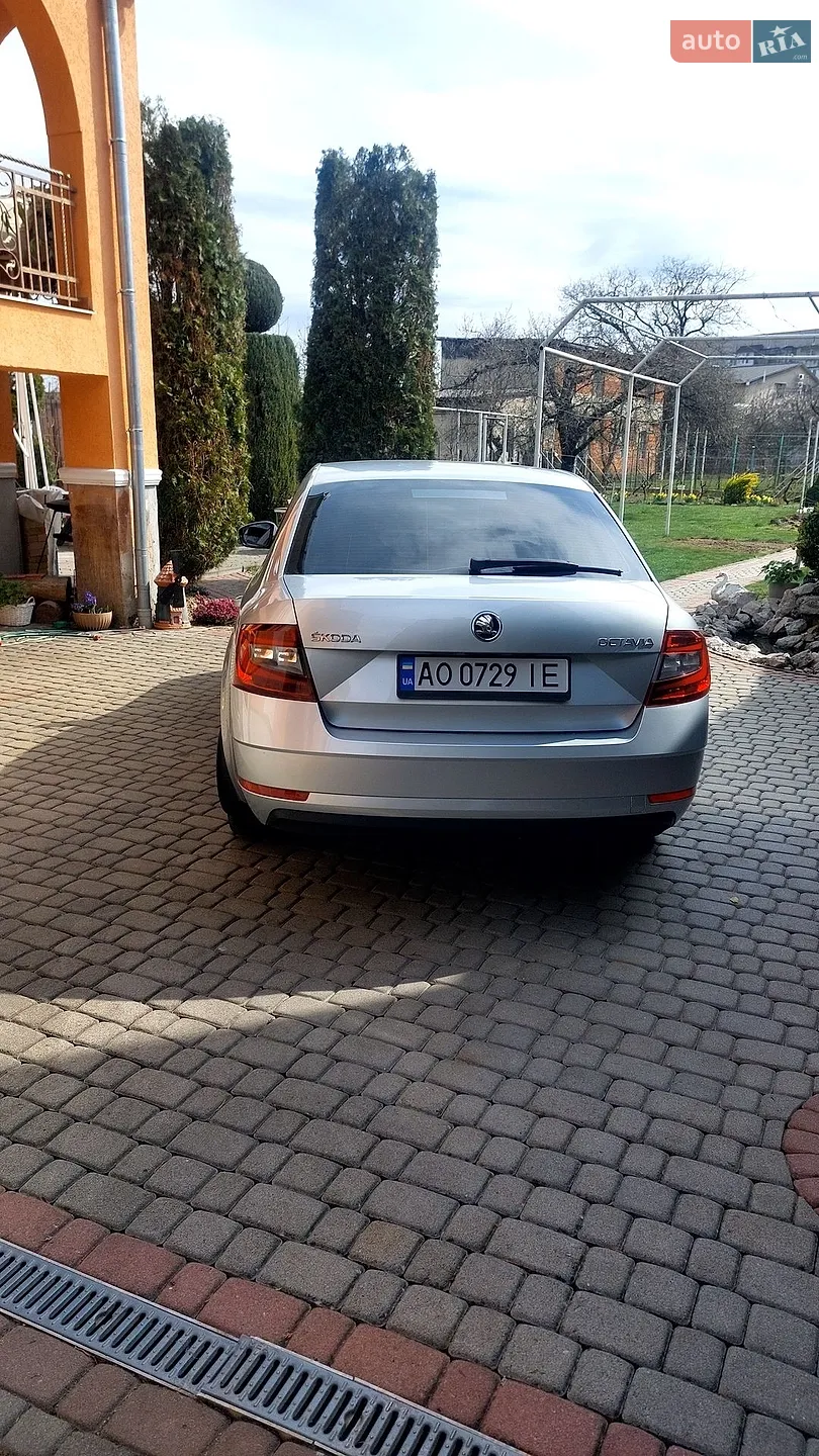 Skoda Octavia 2017 — 1