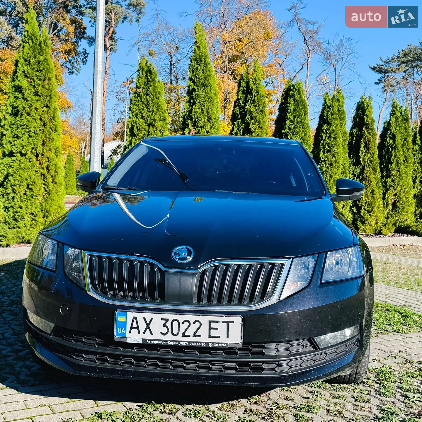 Skoda Octavia, 2017