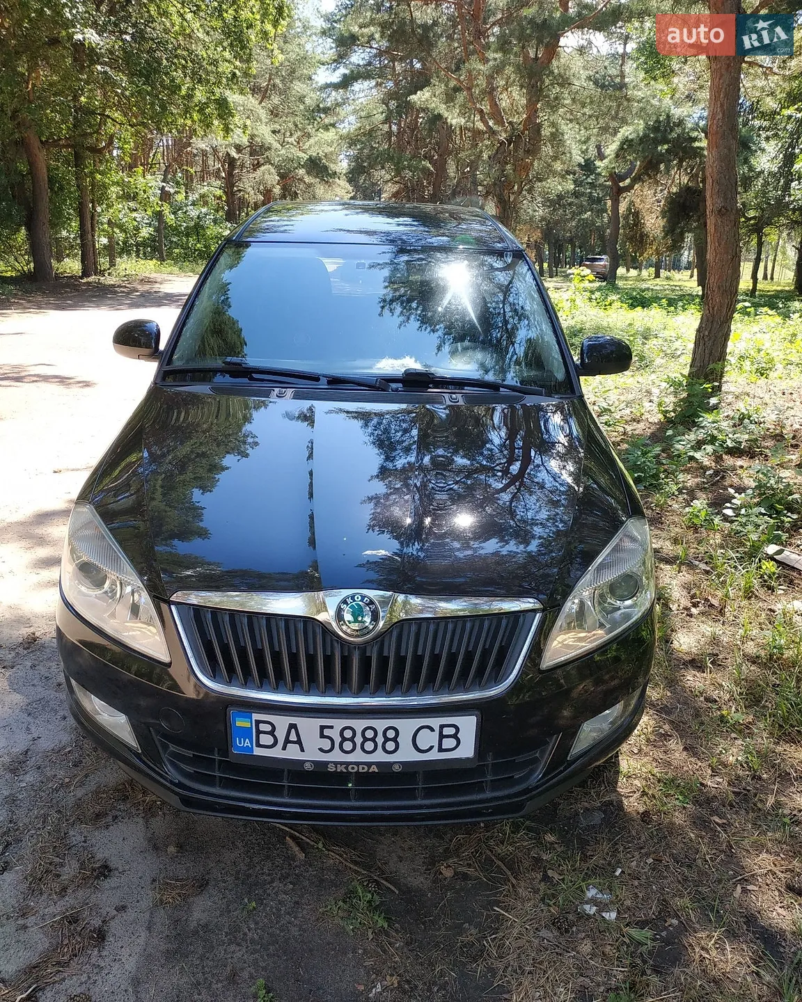 Skoda Roomster, 2010