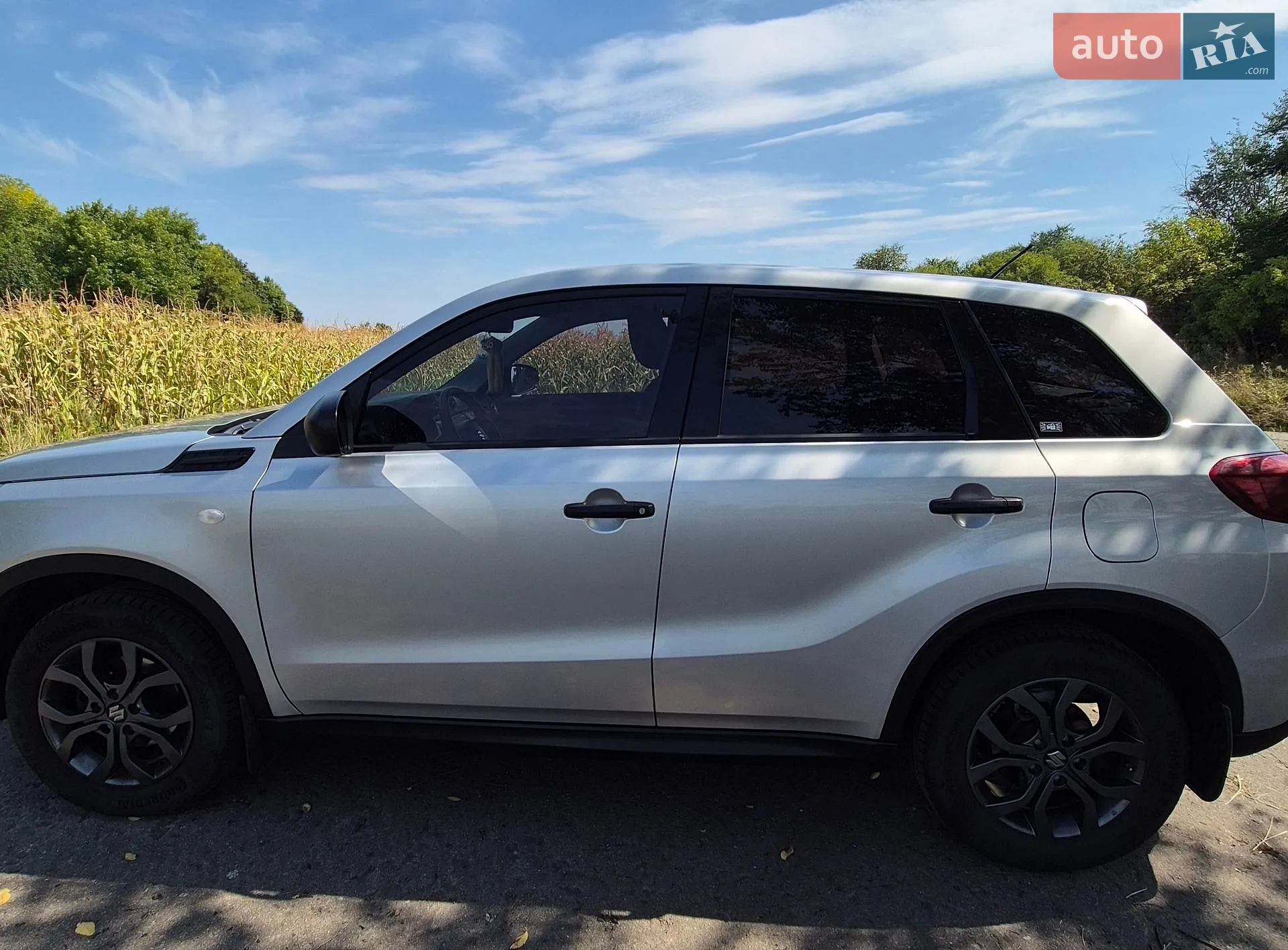 Suzuki Vitara, 2019