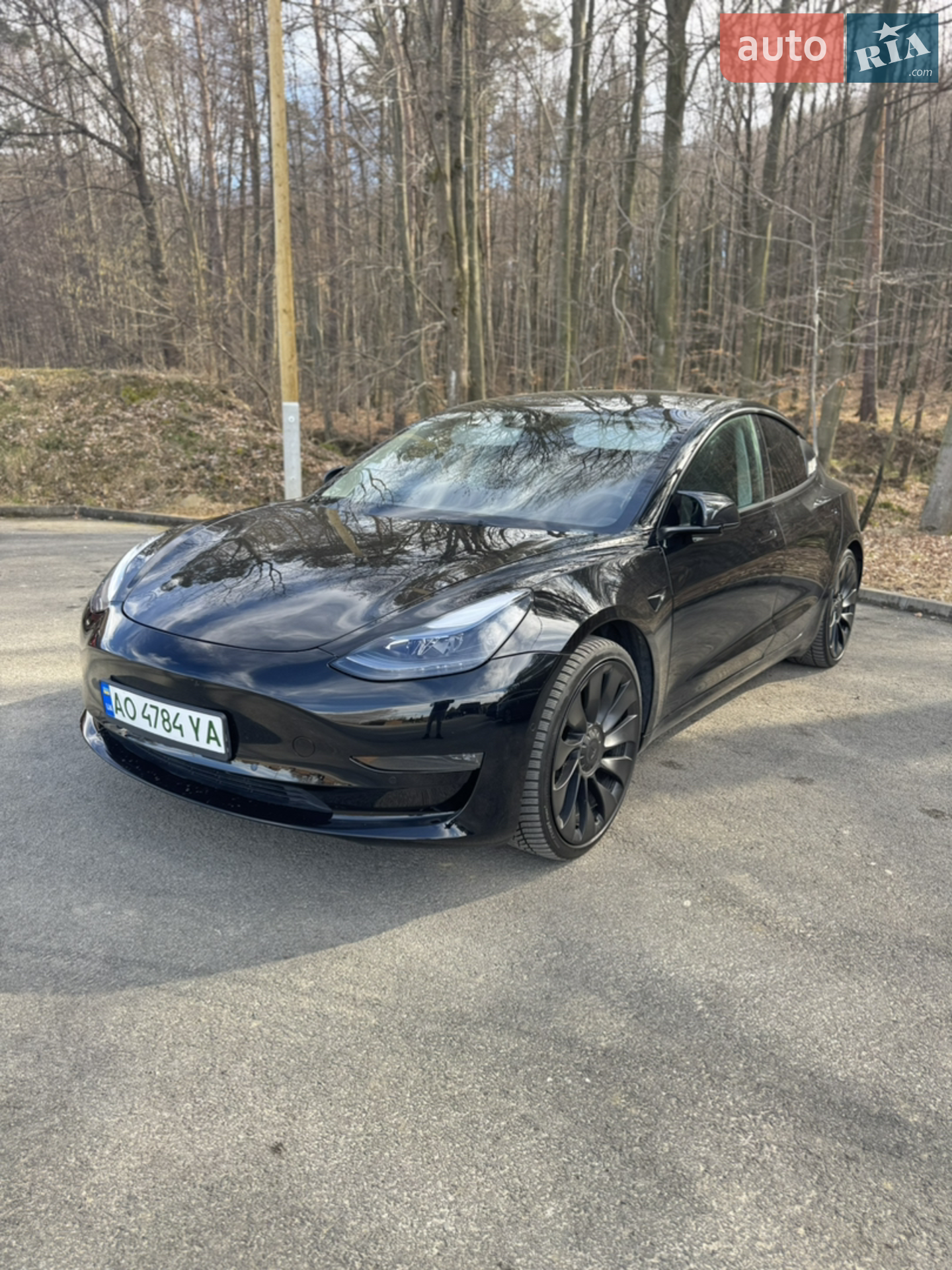 Tesla Model 3, 2021