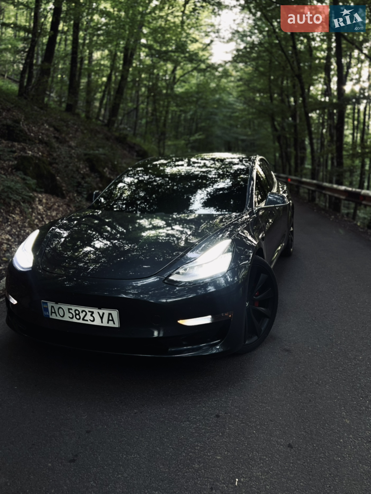 Tesla Model 3, 2020