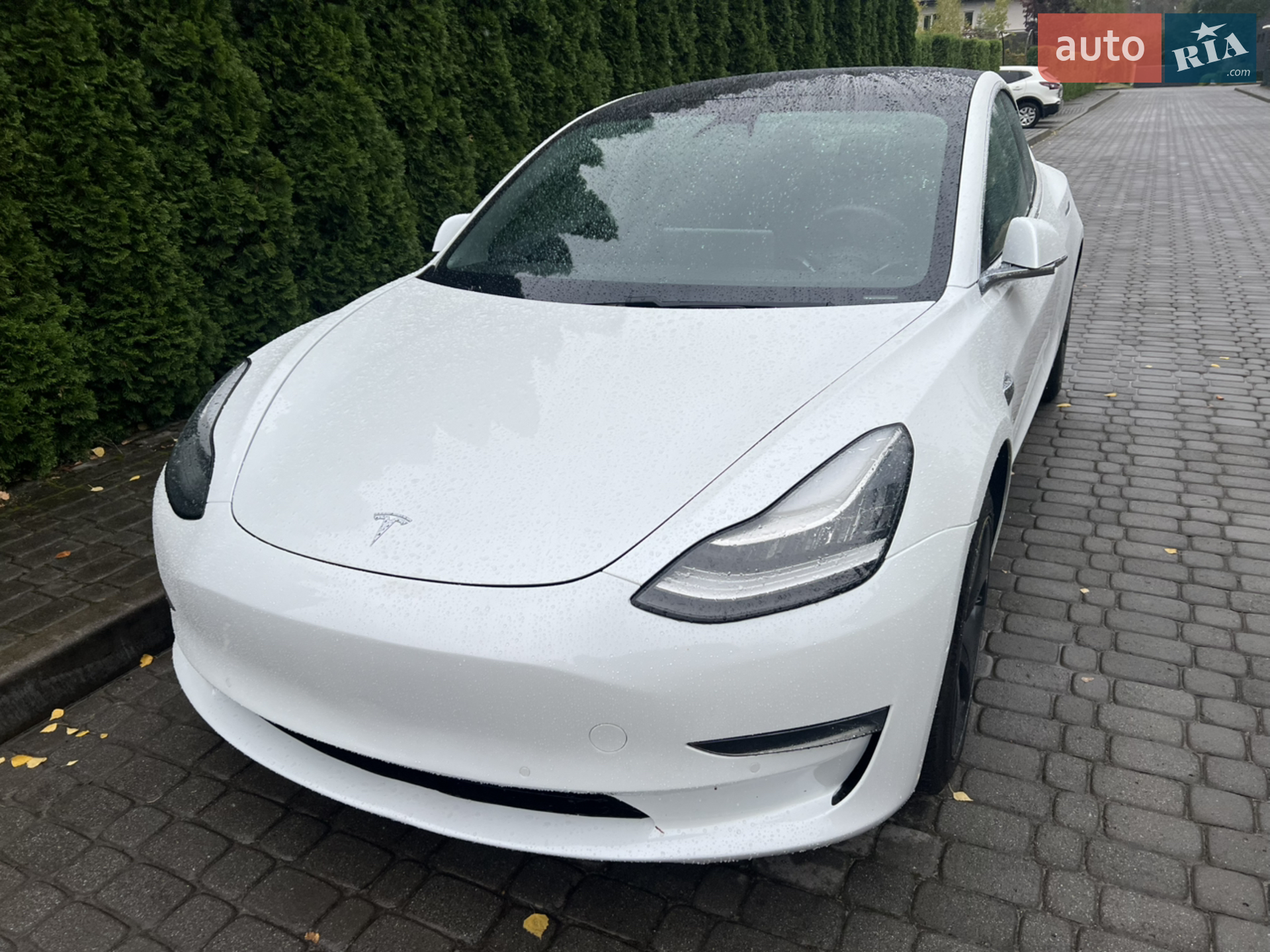 Tesla Model 3, 2019