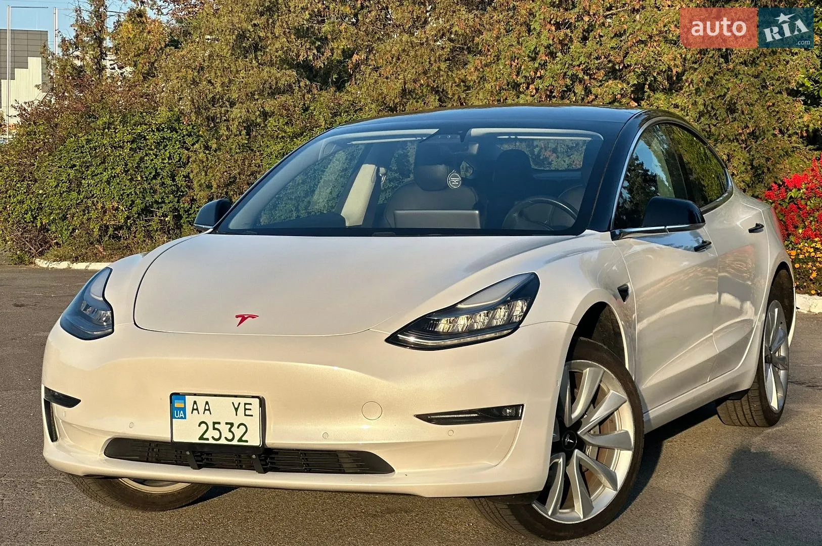 Tesla Model 3, 2019