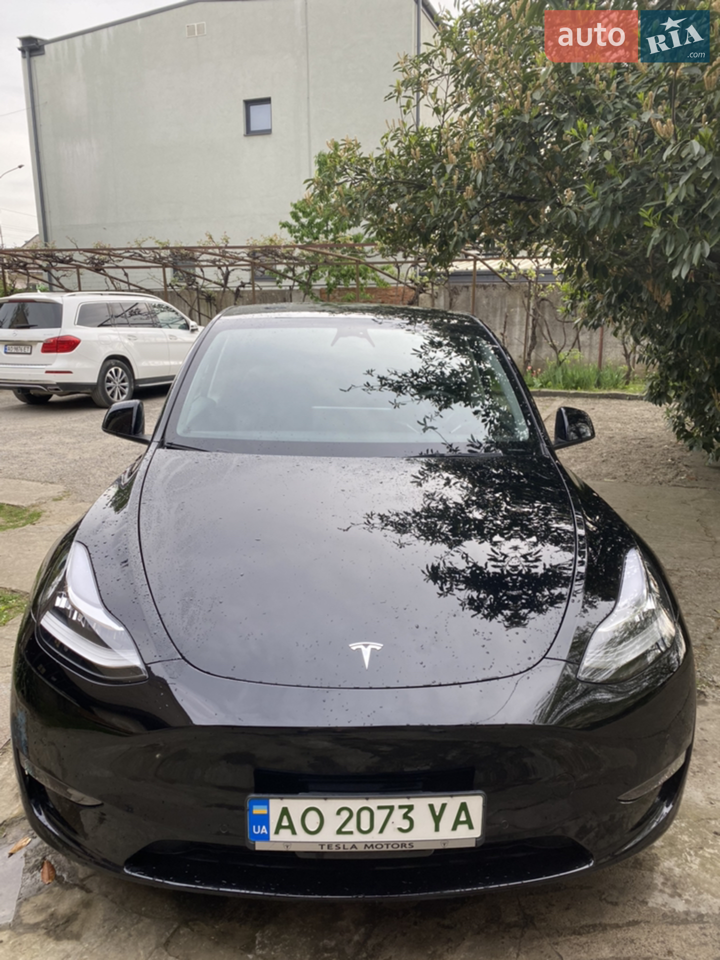 Tesla Model Y, 2022