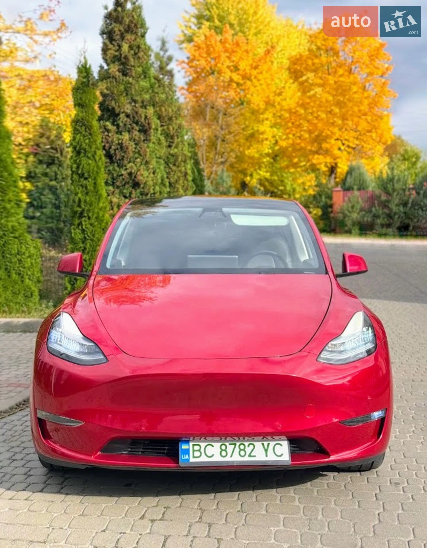 Tesla Model Y, 2021