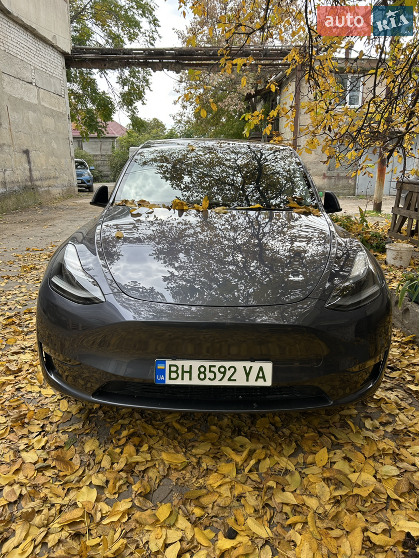 Tesla Model Y, 2023