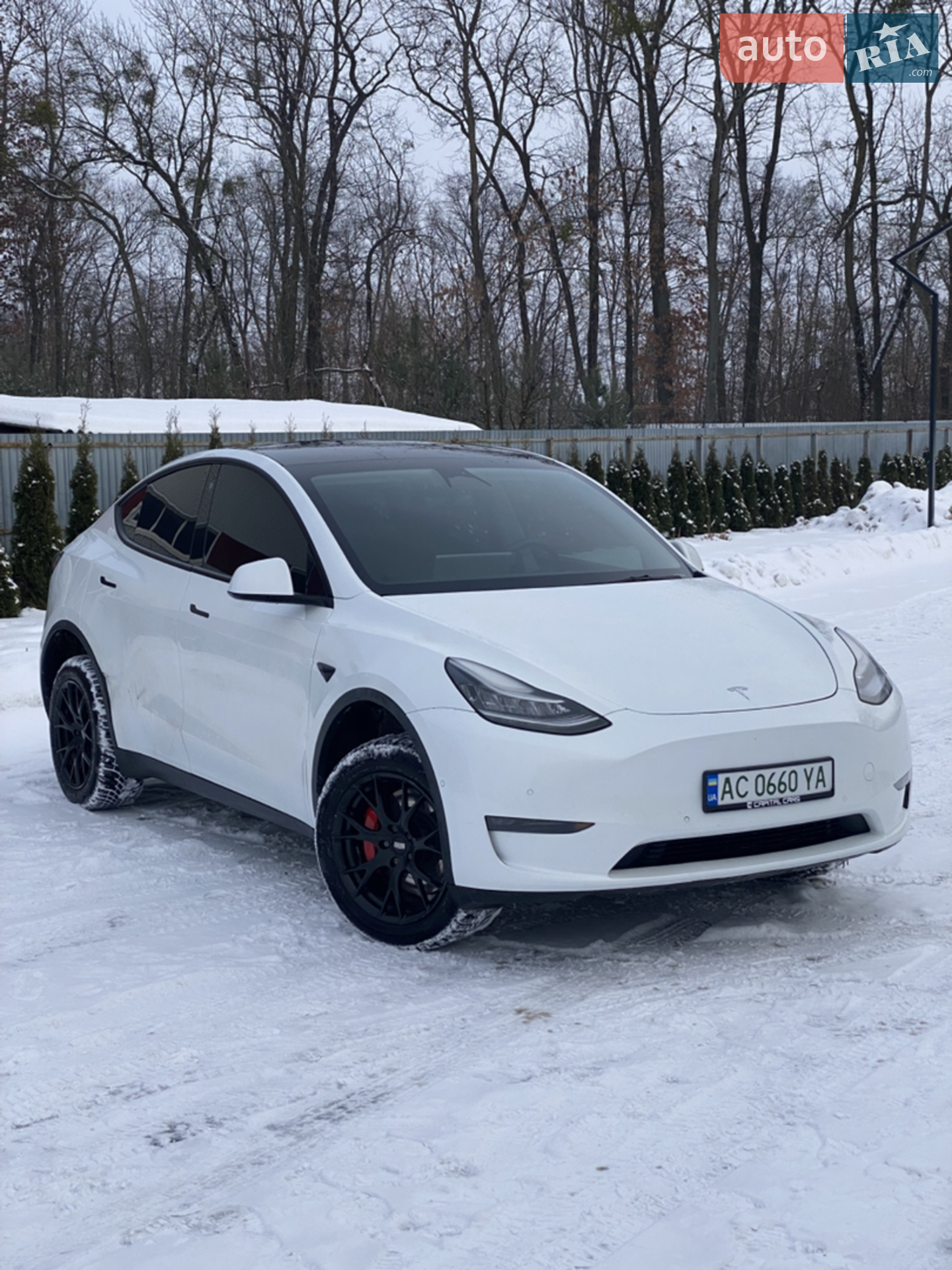 Tesla Model Y, 2020