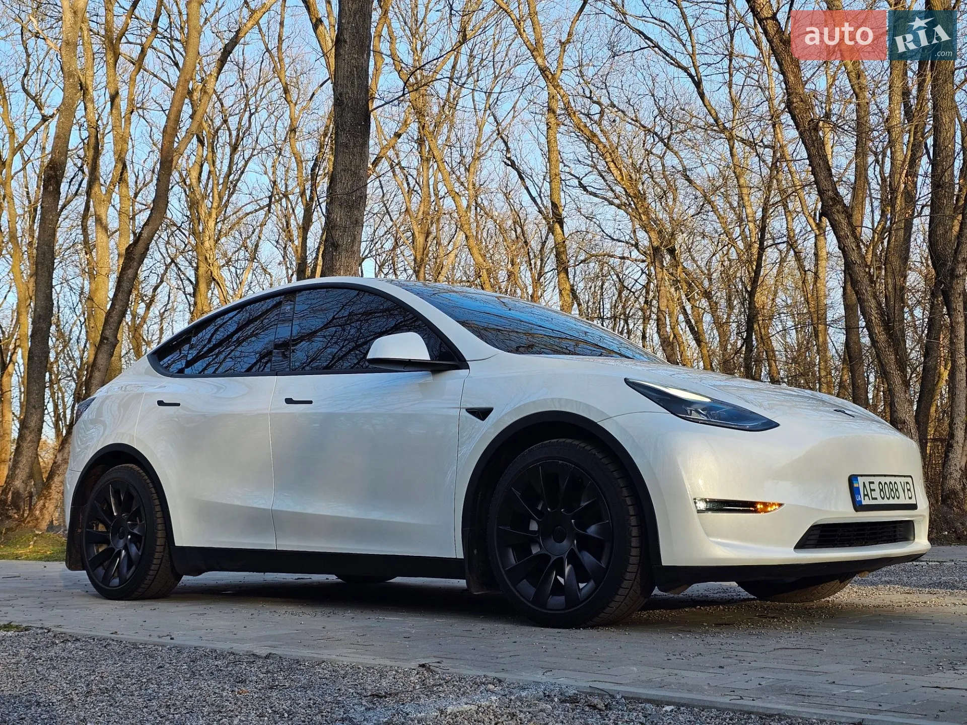 Tesla Model Y, 2023