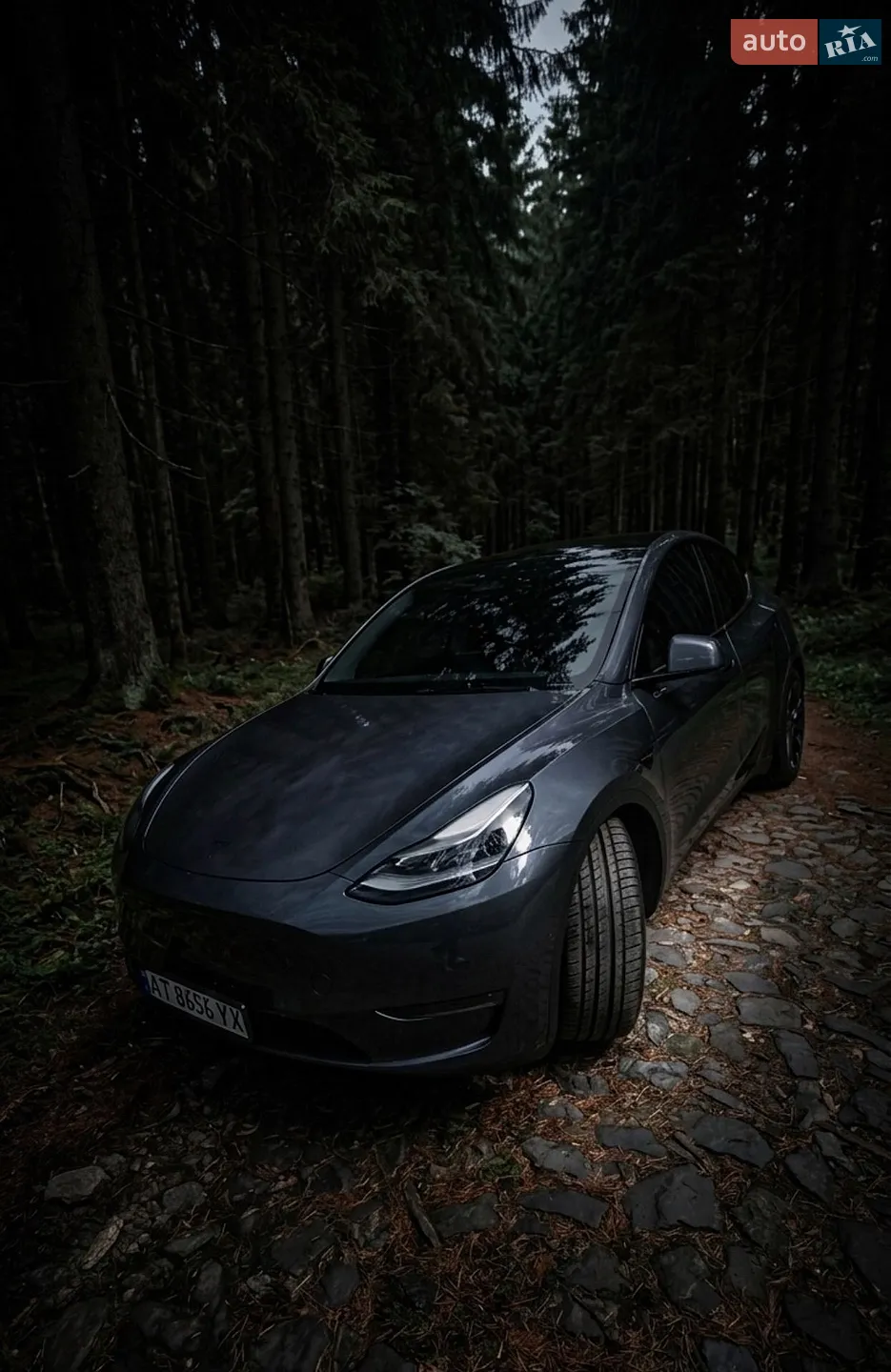 Tesla Model Y, 2021