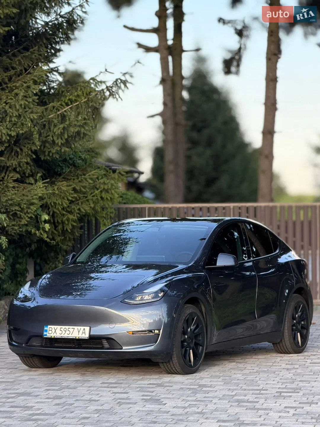 Tesla Model Y, 2022
