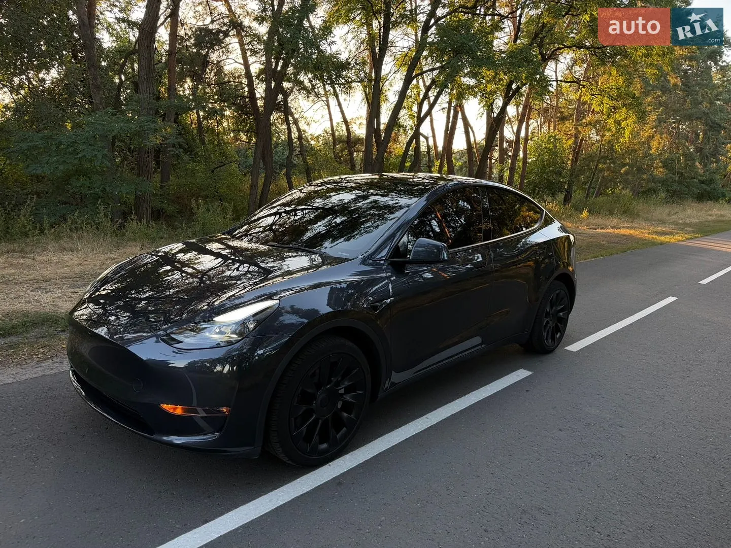 Tesla Model Y, 2025