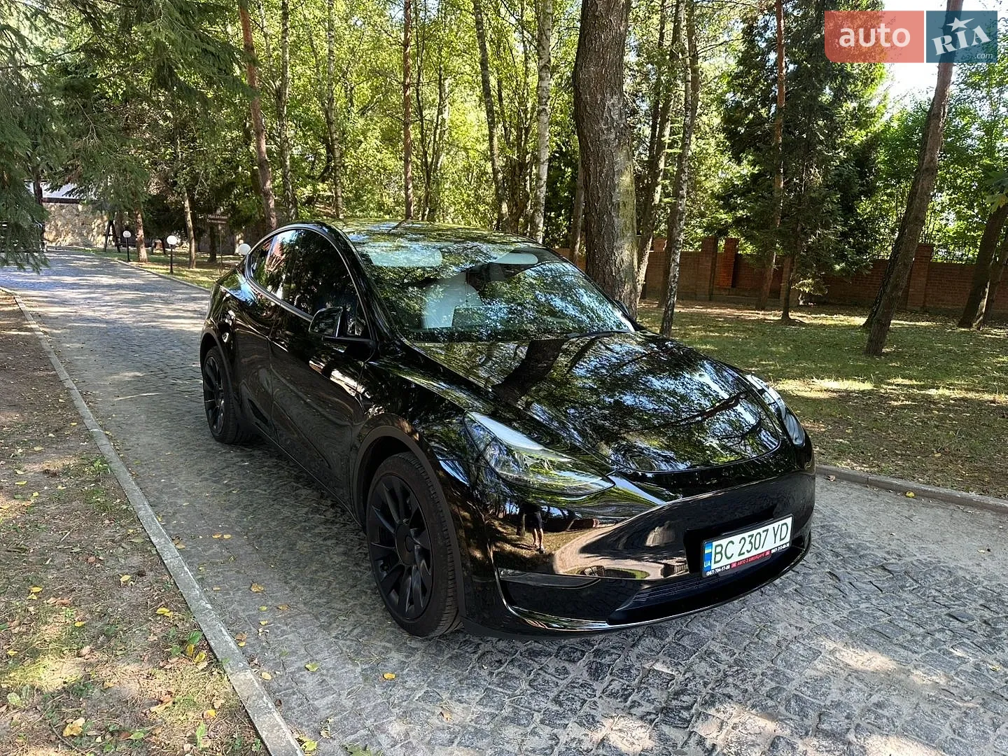 Tesla Model Y, 2024