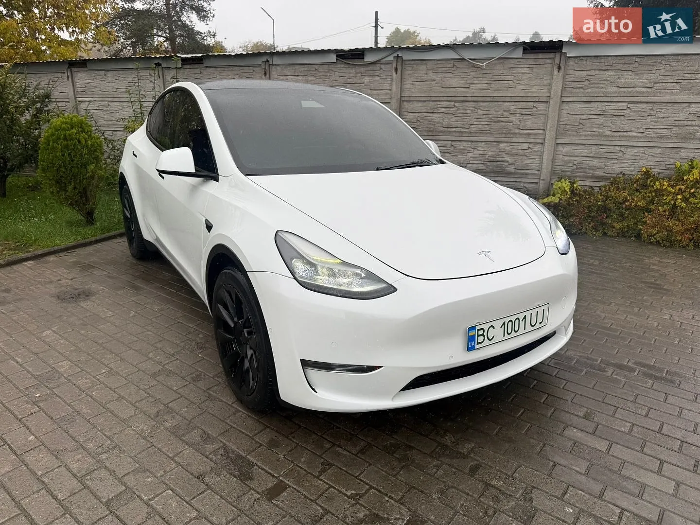 Tesla Model Y, 2020