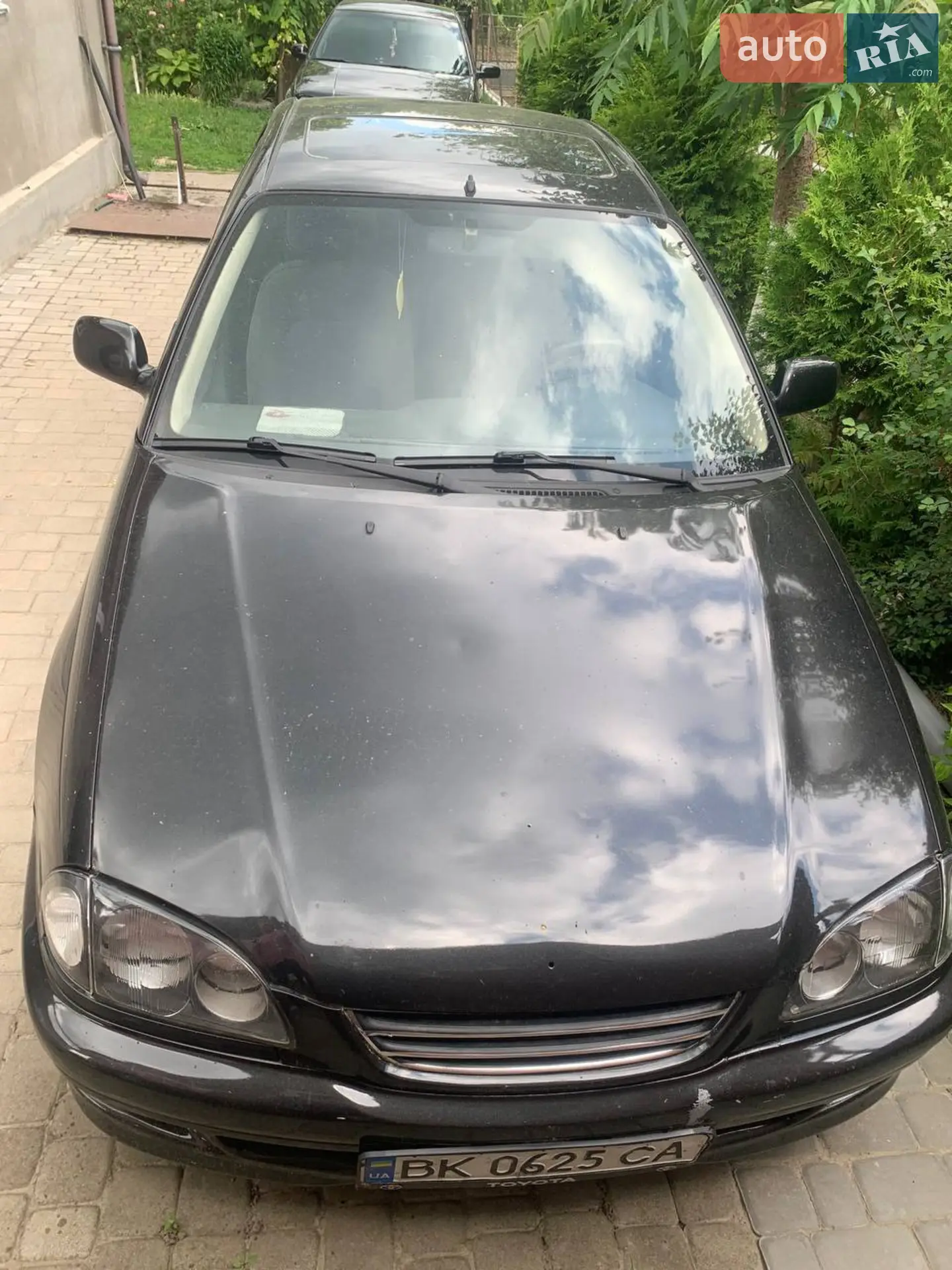 Toyota Avensis, 1999