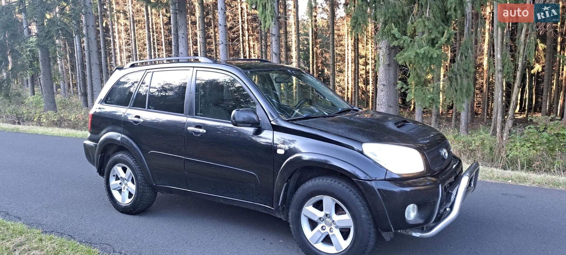 Toyota RAV4, 2004
