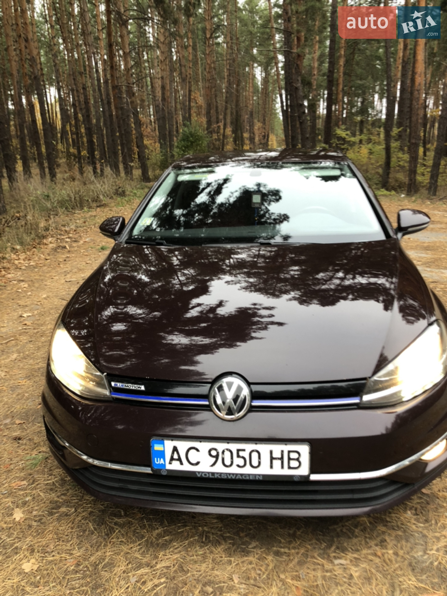 Volkswagen Golf, 2017