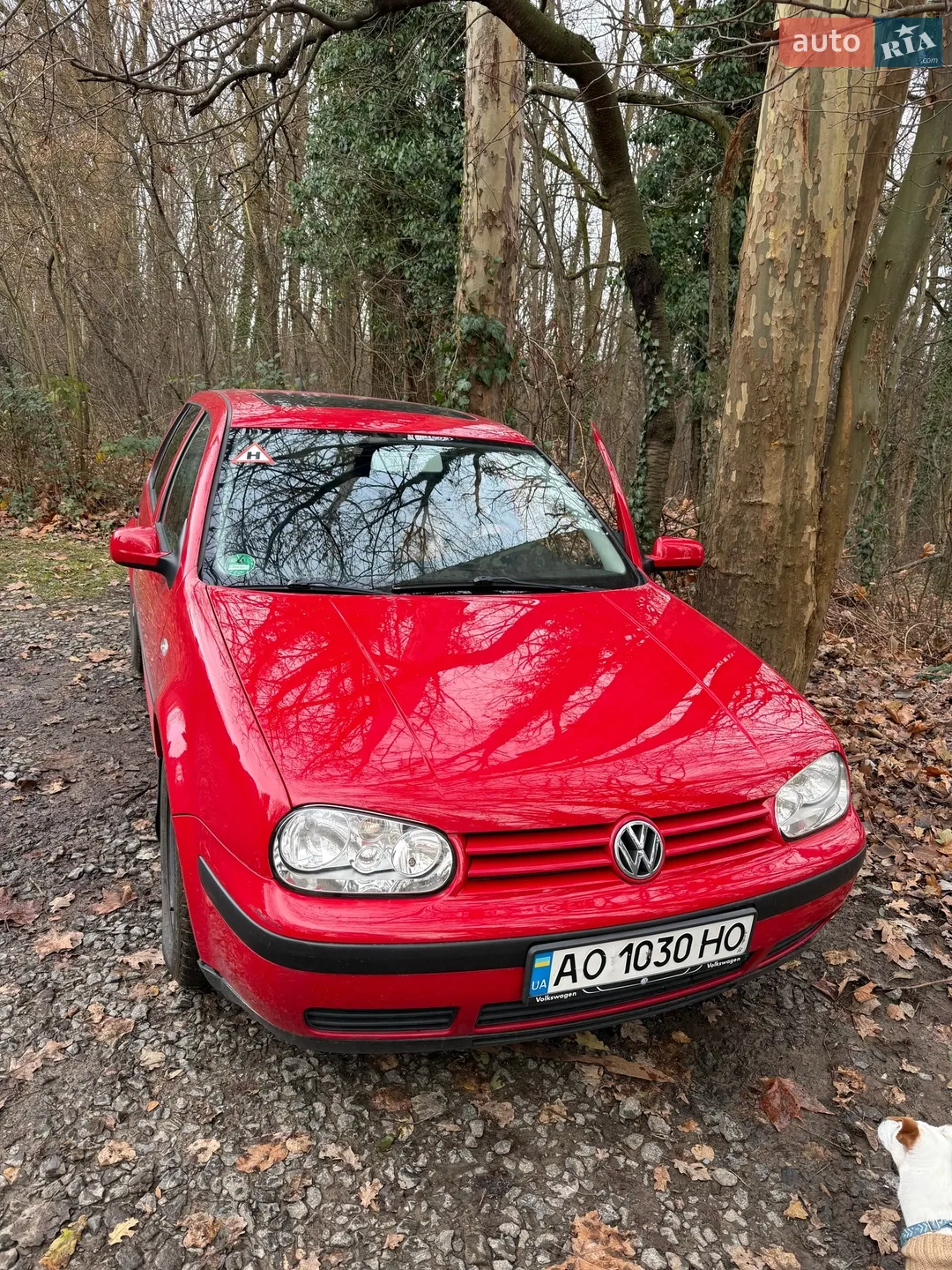 Volkswagen Golf, 2002