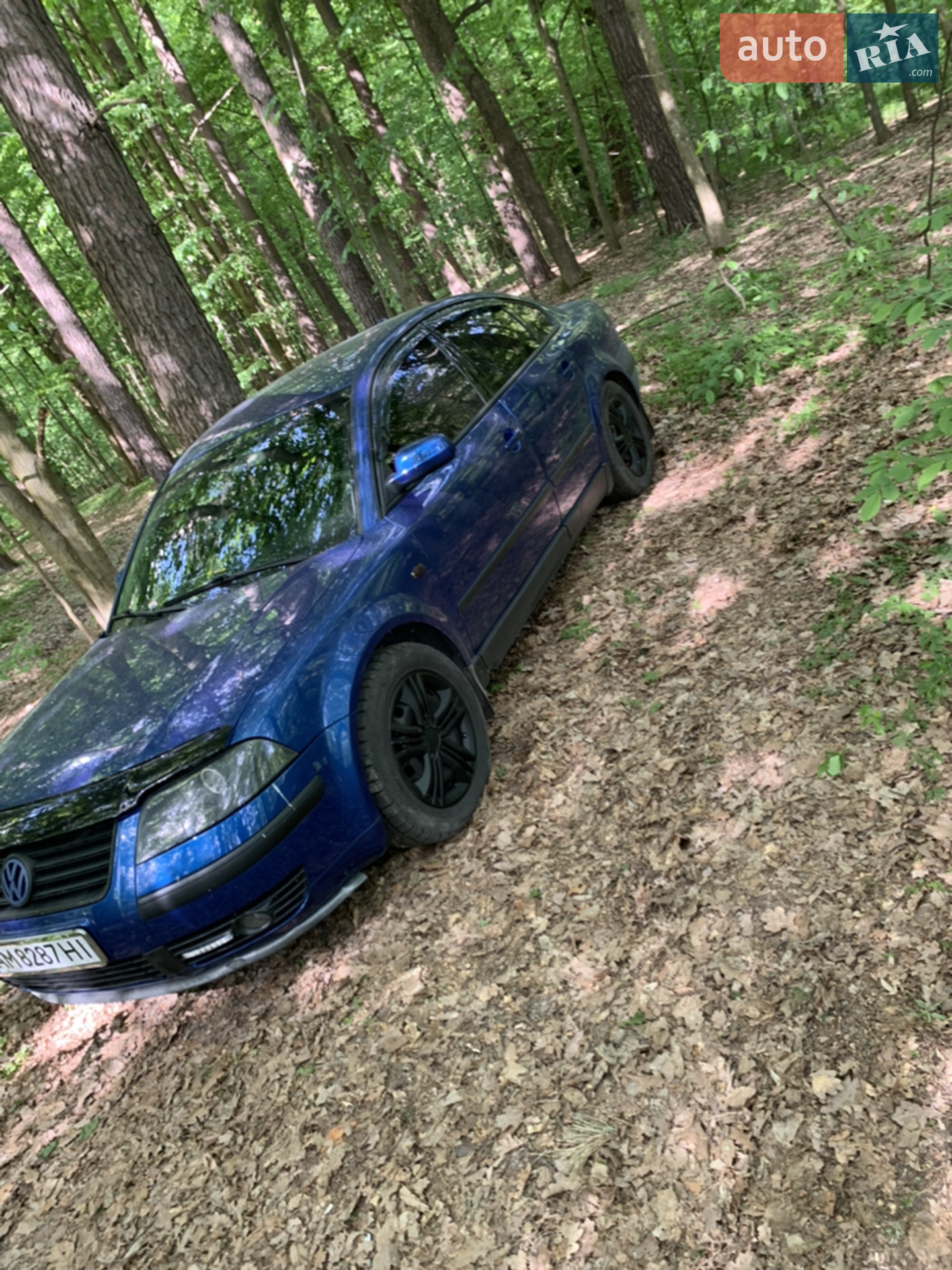 Volkswagen Passat, 2002