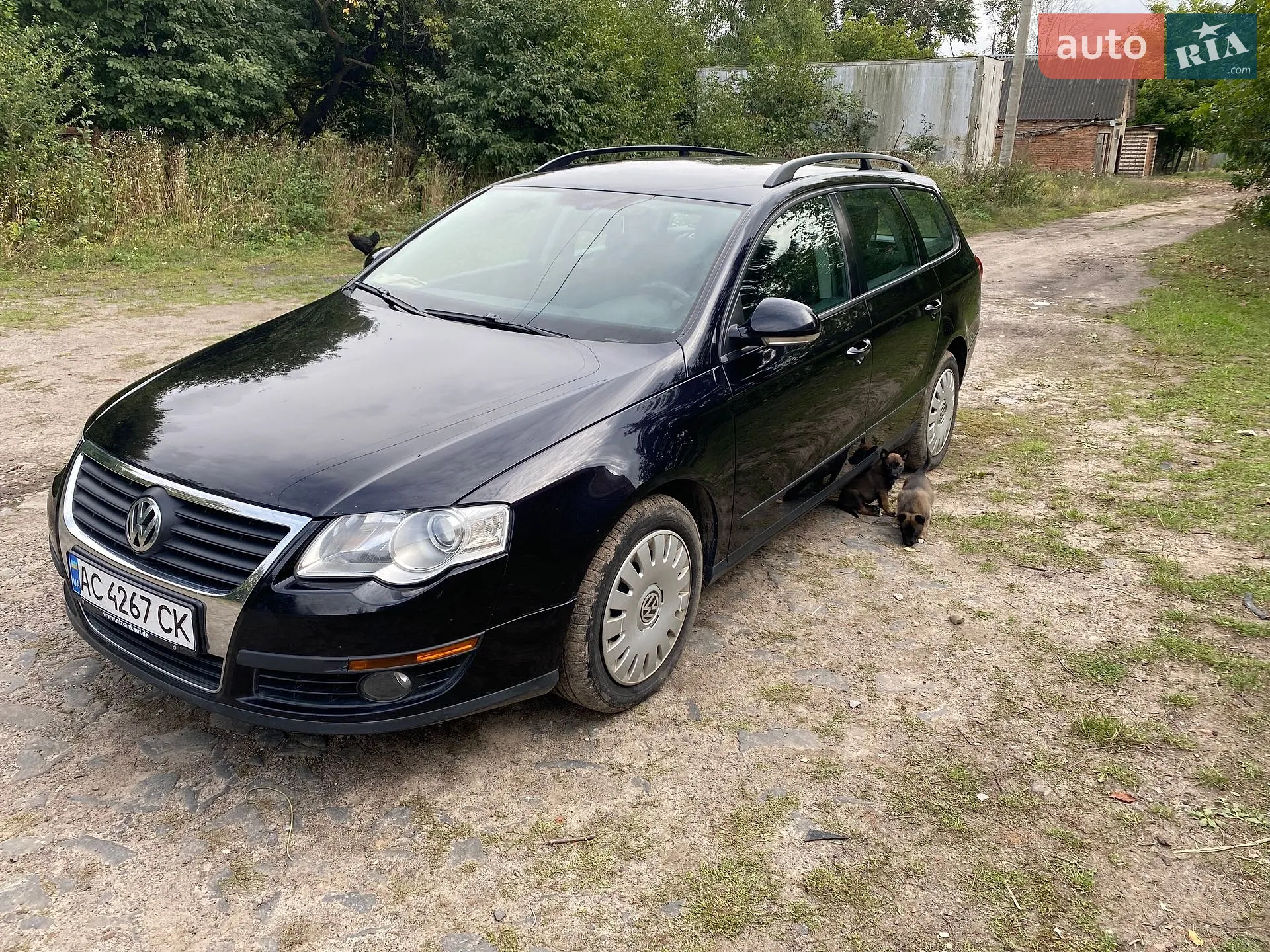 Volkswagen Passat, 2010
