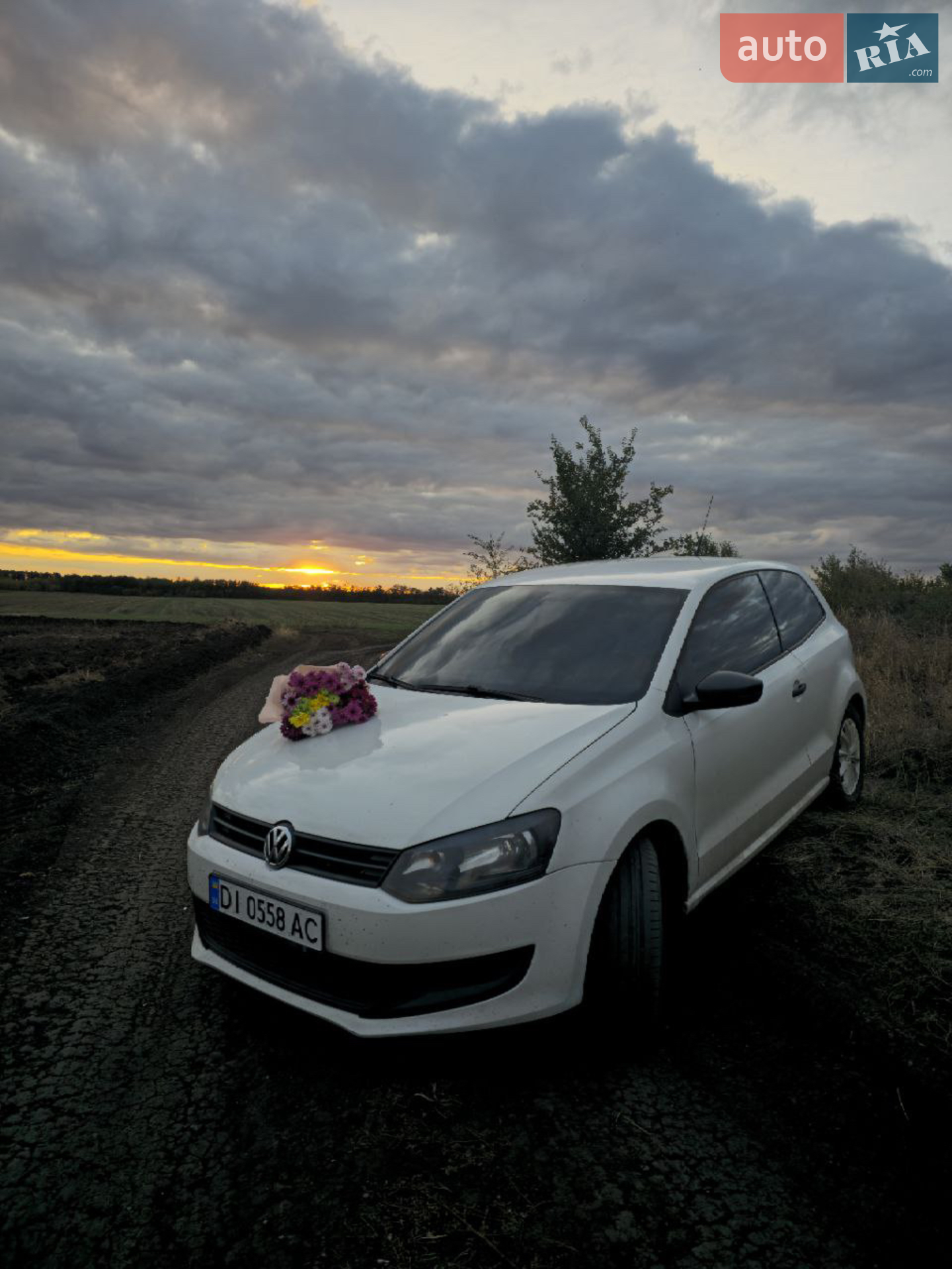 Volkswagen Polo, 2013