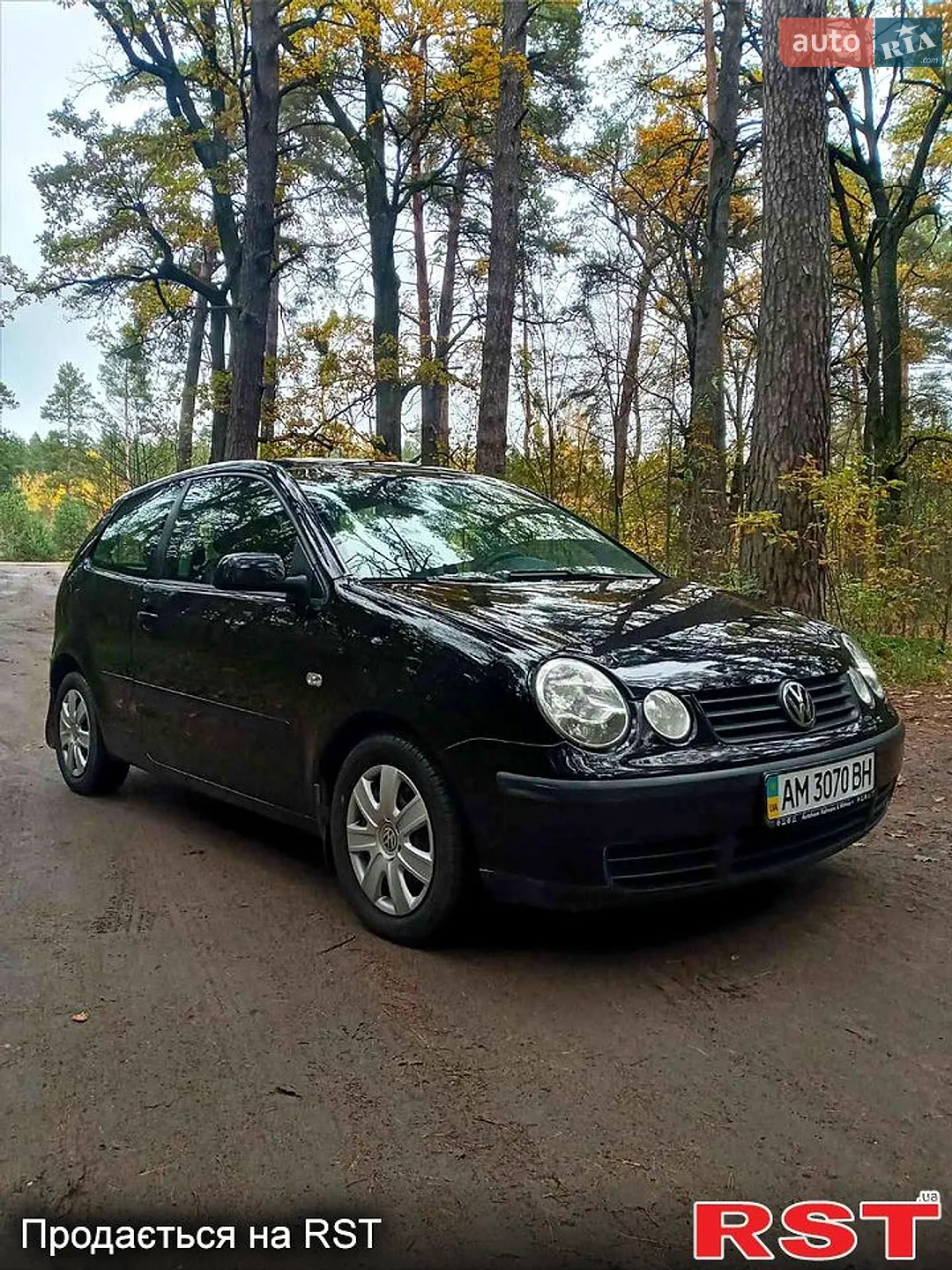 Volkswagen Polo, 2005