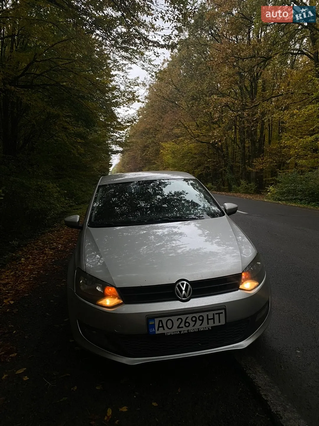 Volkswagen Polo, 2010
