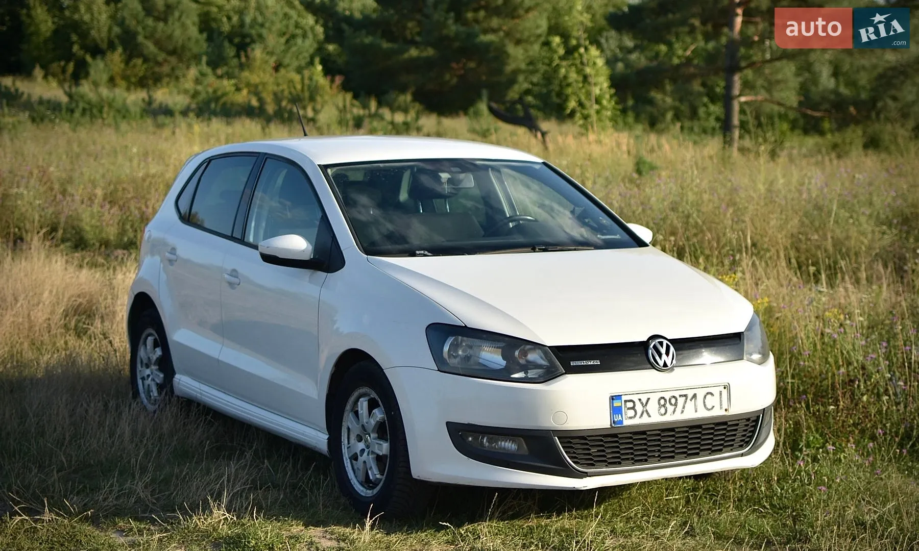 Volkswagen Polo, 2011