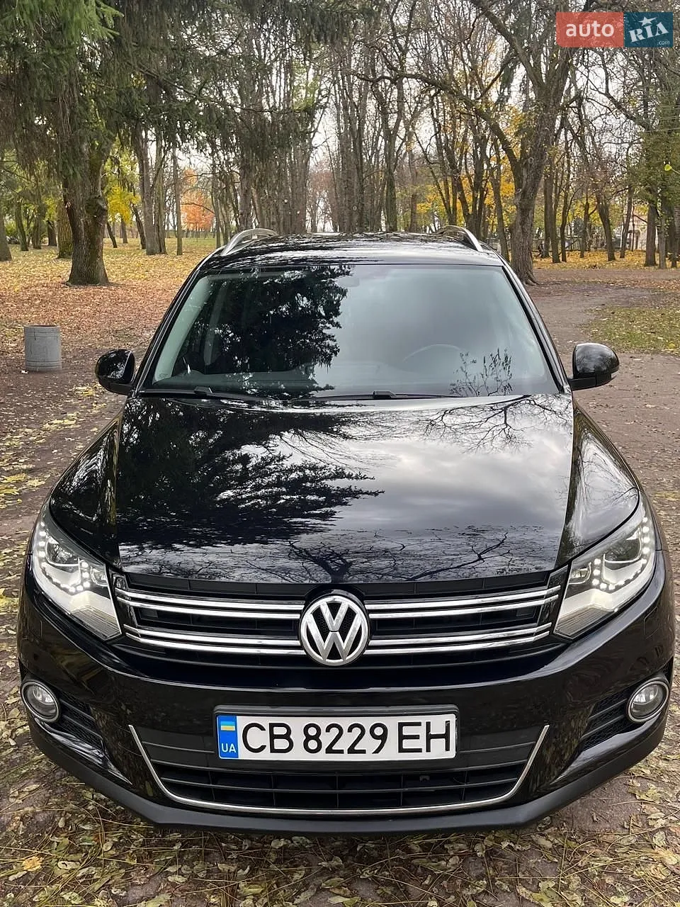 Volkswagen Tiguan, 2013