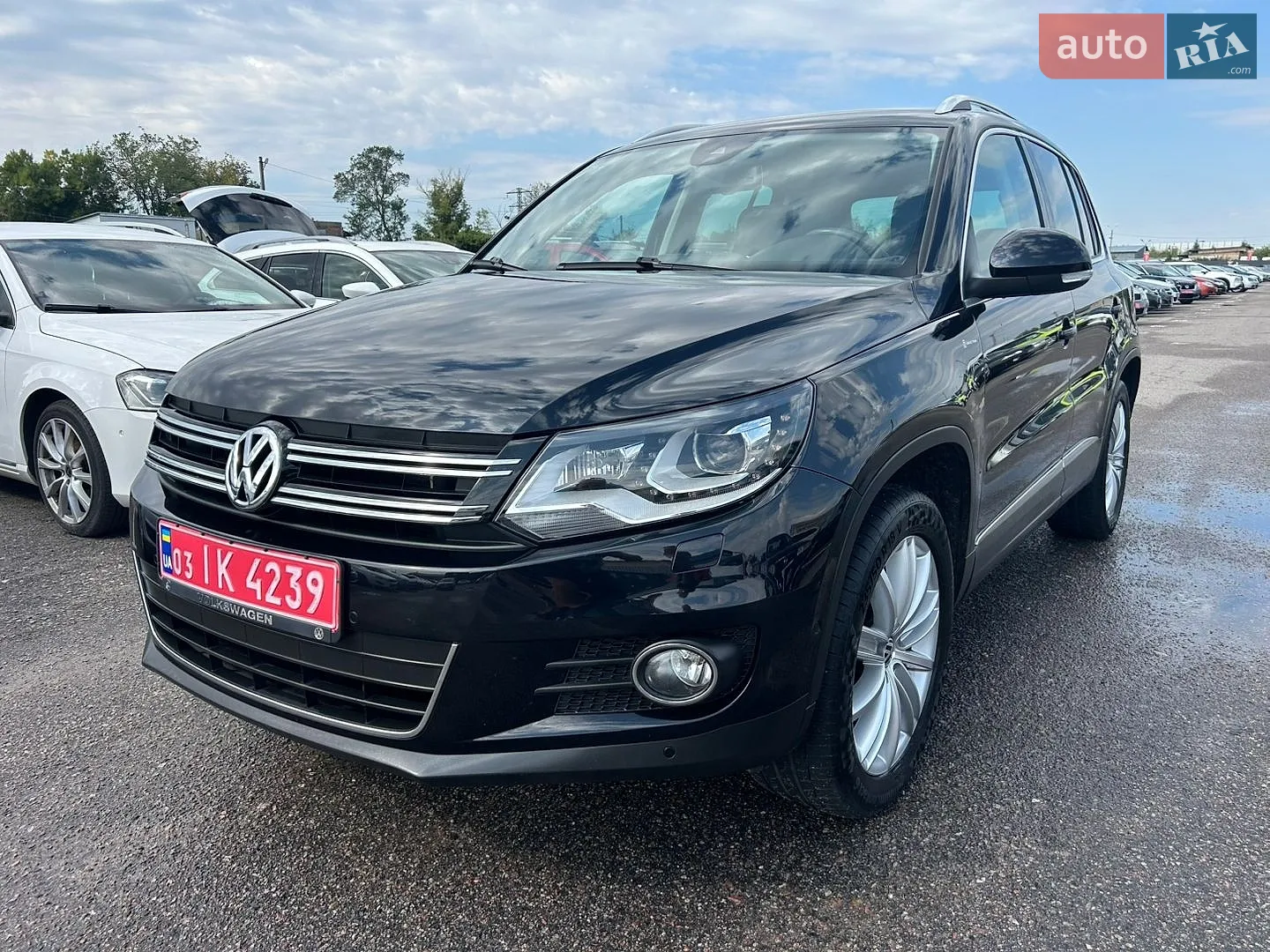 Volkswagen Tiguan, 2013