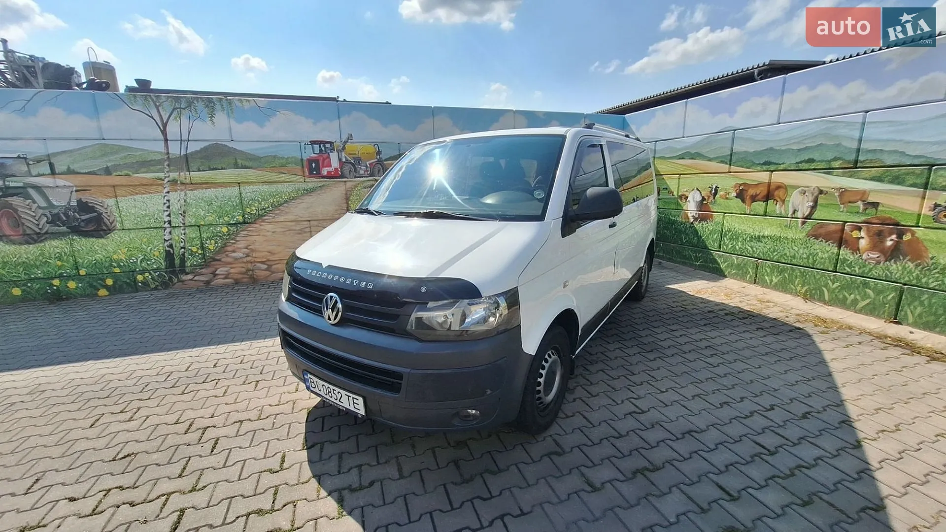 Volkswagen Transporter, 2010