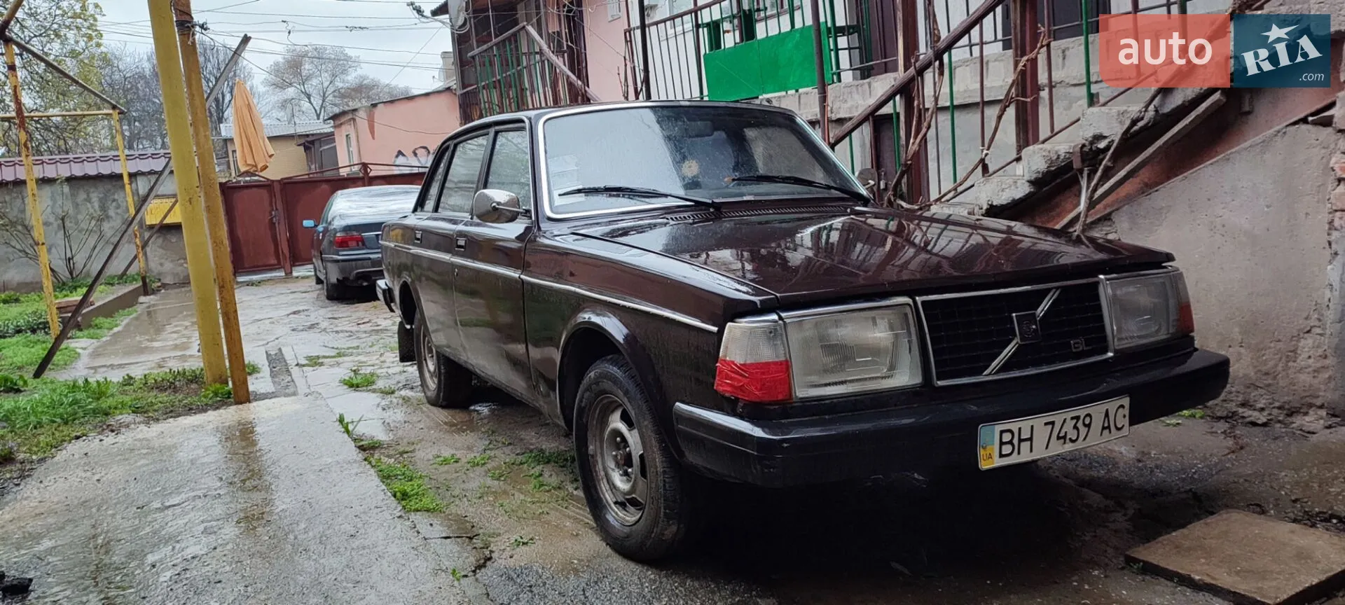 Volvo 244, 1981