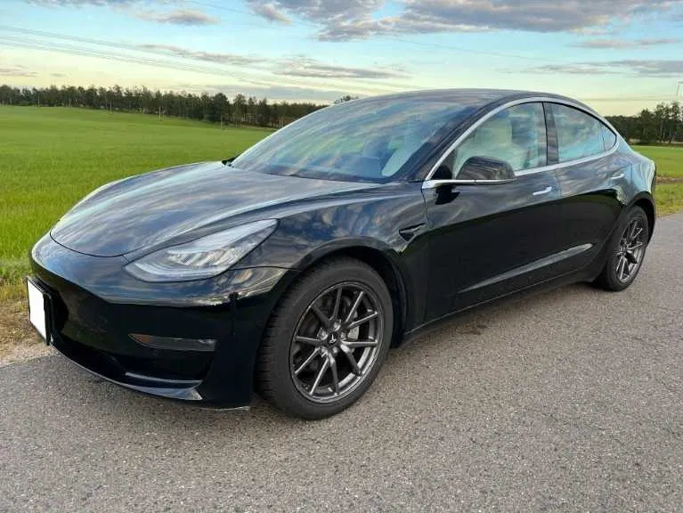 Tesla Model 3, 2019