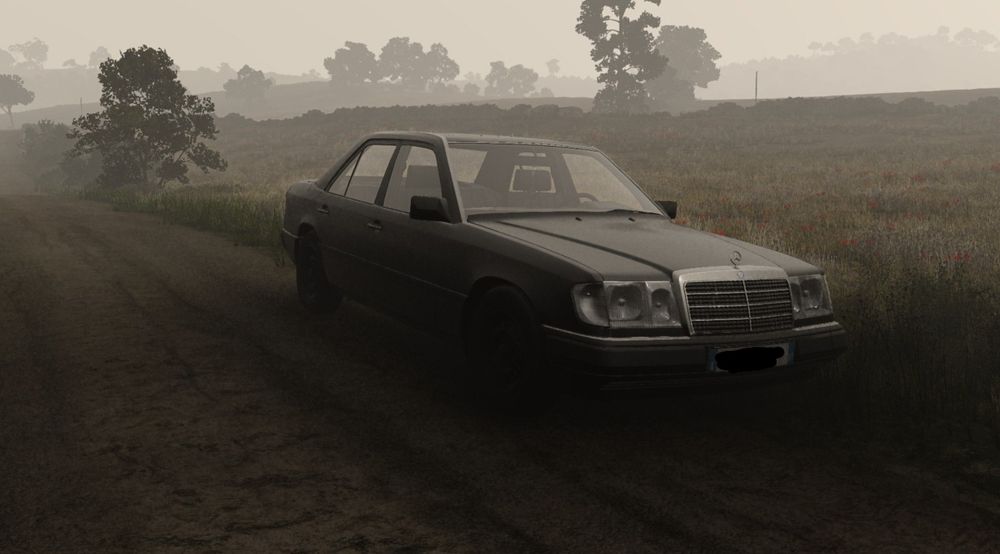 Mercedes-Benz W124, 1989