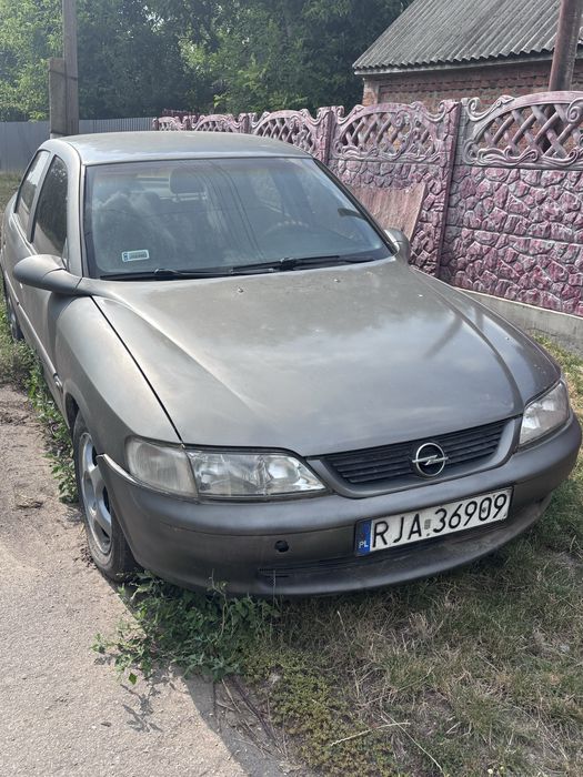 Opel Vectra, 1998