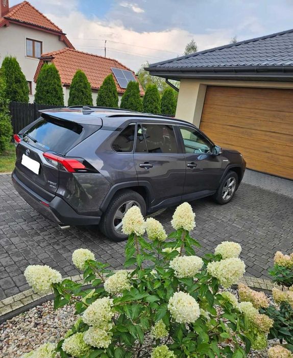 Toyota RAV4, 2019